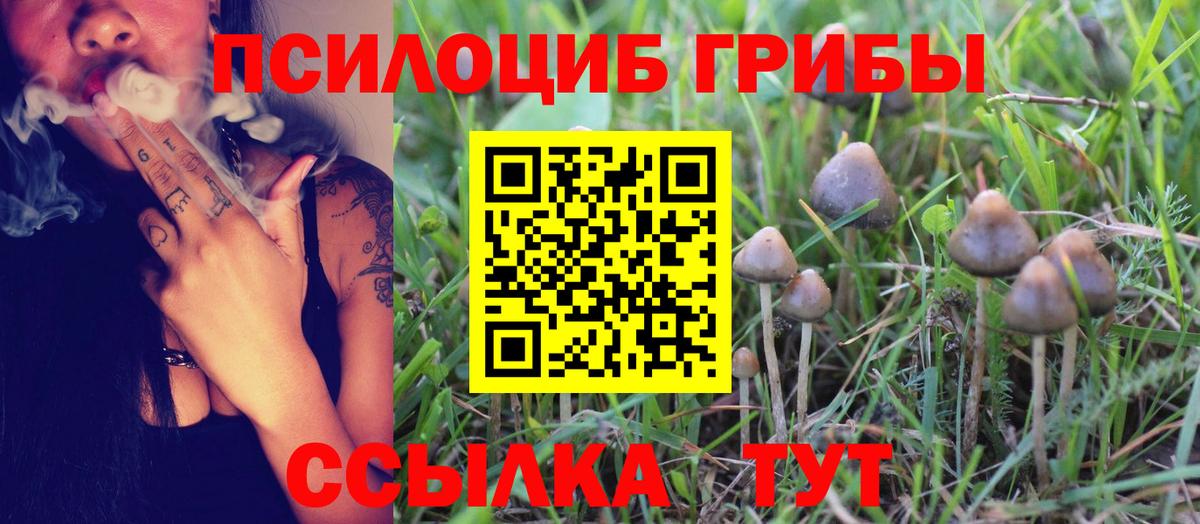 Анжеро-Судженск  Галлюциногенные грибы Cubensis  Псилоцибиновые грибы мухоморы  купить  цена  Вход с VPN 