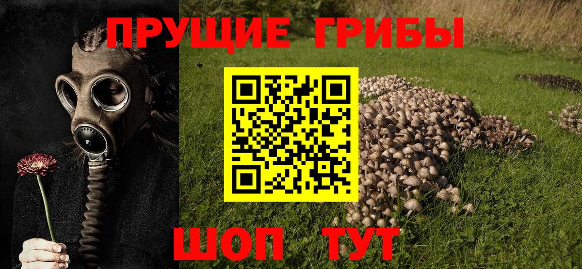 Гашиш  Конопля  Лсд 25  Анжеро-Судженск  МЕФ кристаллы  COCAIN  Вход с VPN 